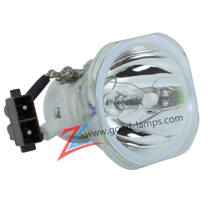 Projector lamp TLP-LW10