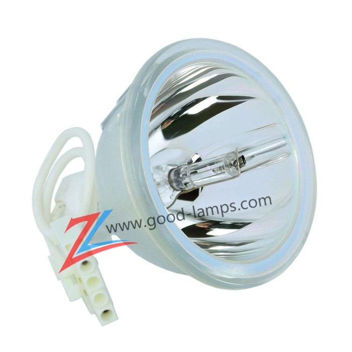 Projector lamp SP-LAMP-009