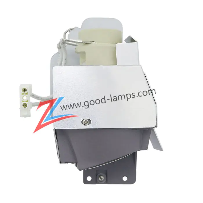 Projector lamp 1018580