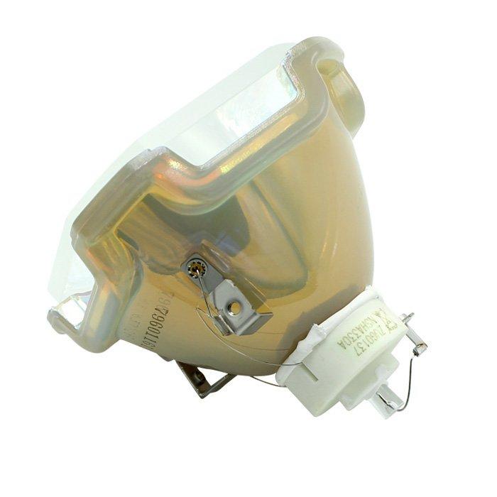 Projector Lamp POA-LMP109/610-334-6267