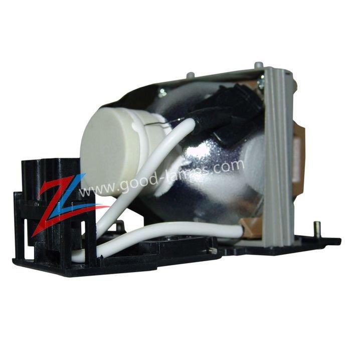 Projector Lamp LCA3125/310-5027