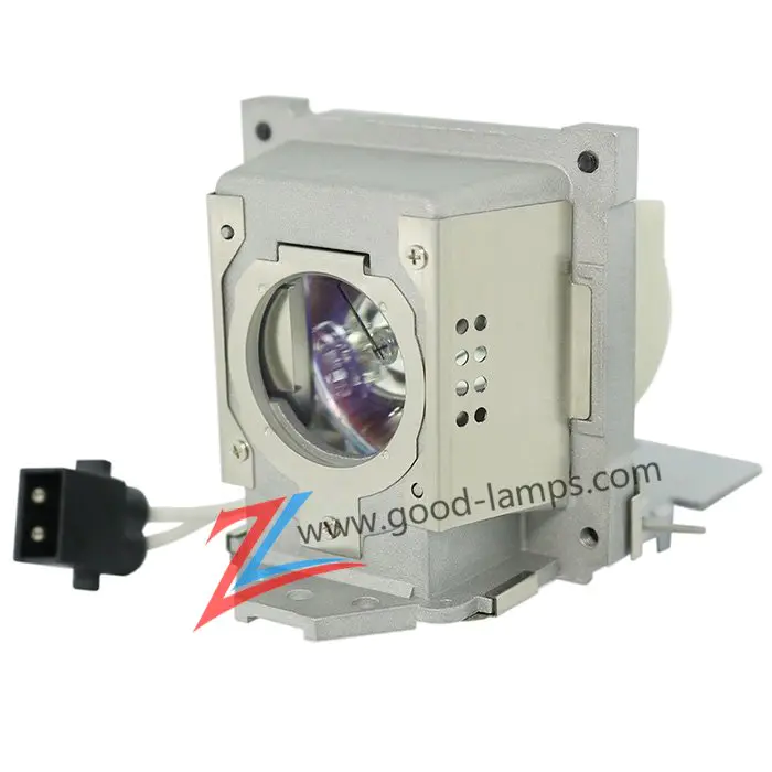Projector lamp 5J.J8C05.002