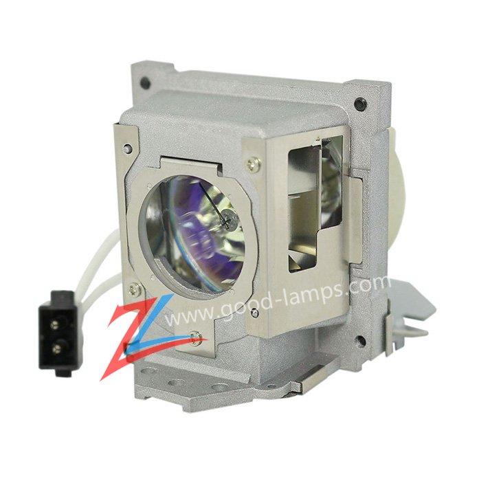 Projector lamp 5J.J8C05.001