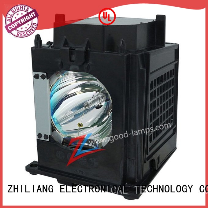 Projector lamp 915P049010 / 915P049A10