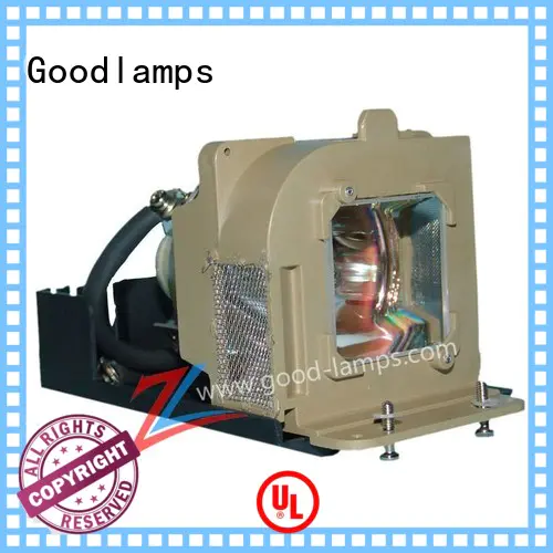 28685 best projector lamps supplier for government project