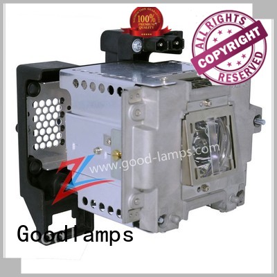 Projector lamp VLT-XD8600LP