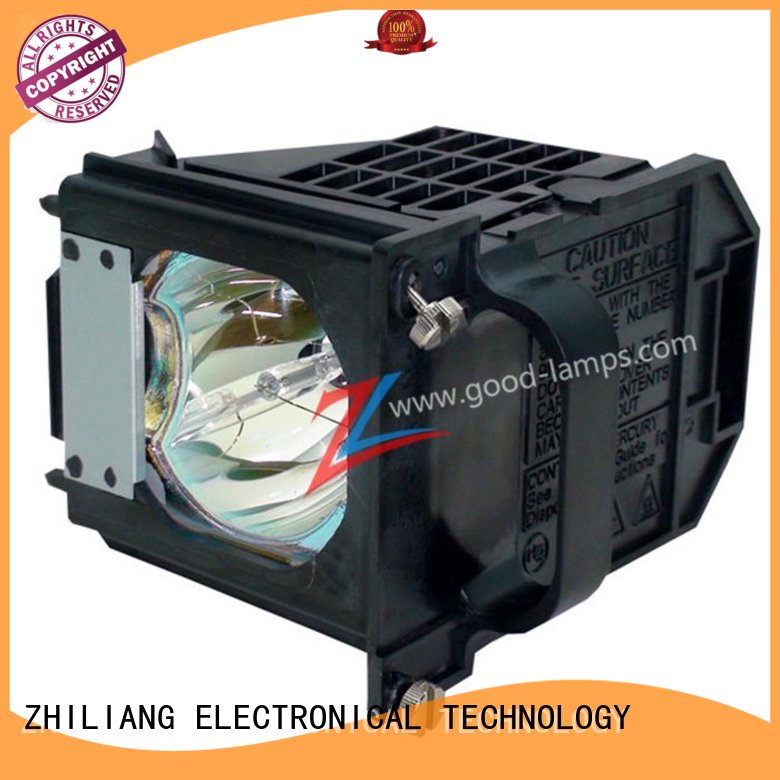 Projector lamp 915P061010