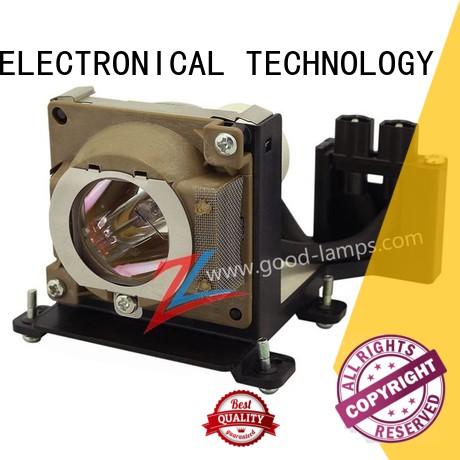 Projector lamp VLT-XD300LP