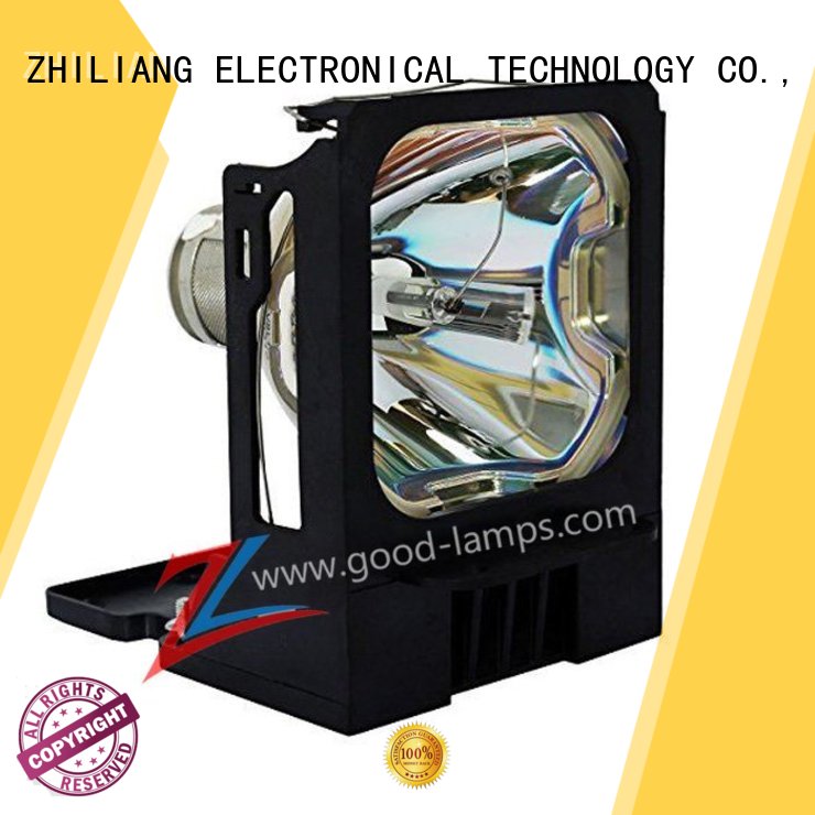 Projector lamp VLT-X500LP