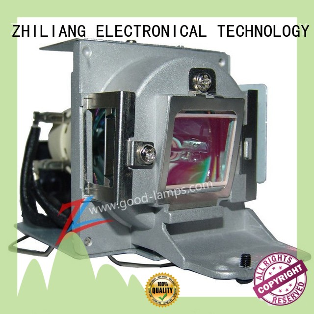 Projector lamp VLT-EX240LP