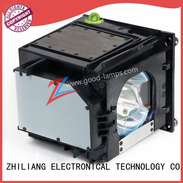 Projector lamp 915P049020