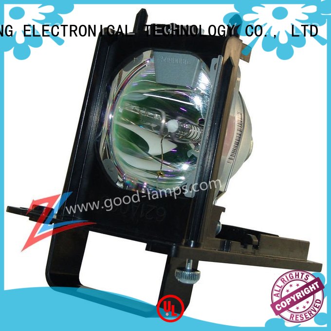 Projector lamp 915B455011